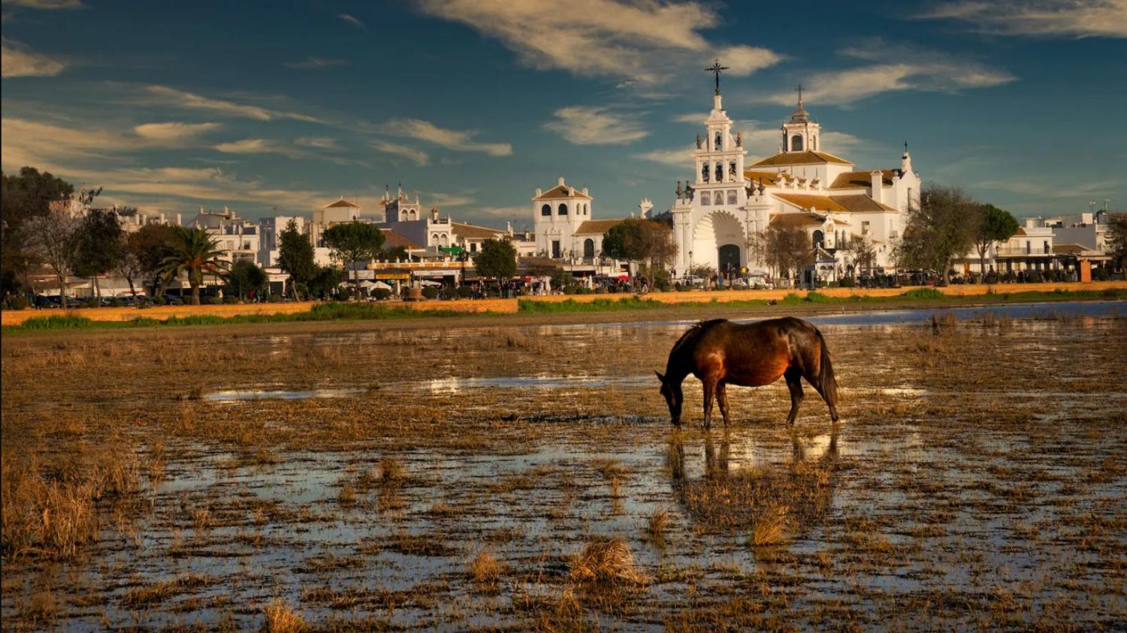 La Suite De La Reina El Rocio Ngoại thất bức ảnh
